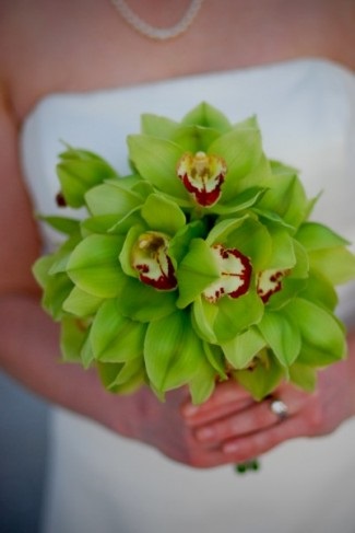 Buchet de buchet de flori de flori de nunta fotografie de buchete de nunta de albine, ❤️❥ toate pentru nunta