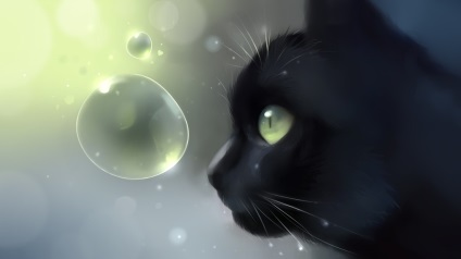 Feketék macskák, blogger valleta az oldalon 2015. október 30-án egy pletyka