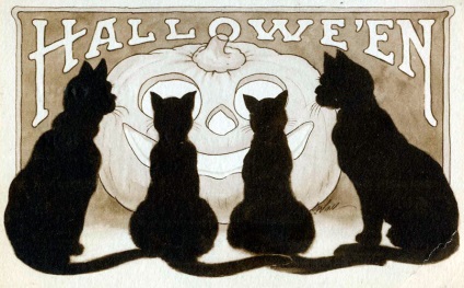 Fekete macska a Halloween és a macskák a középkorban