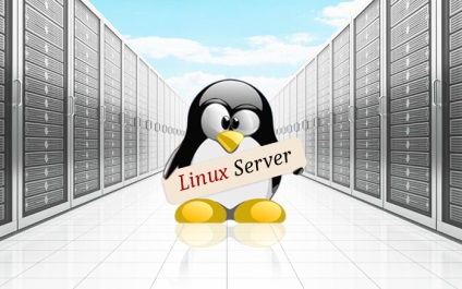 Mi a hosting a linux vps-en, a webhelyek létrehozását, reklámozását, a közösségi hálózatokban történő hirdetést?