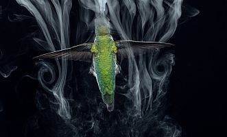 Miracole pe colinele care zboară cu colibri - rusia geografică națională