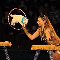 Programul de circ 