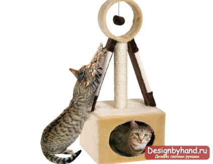 Kis ház egy macskának a saját kezűleg a legjobb ötleteket a körökre készített fotókkal
