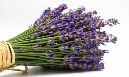 Ulei esential de lavanda pentru par