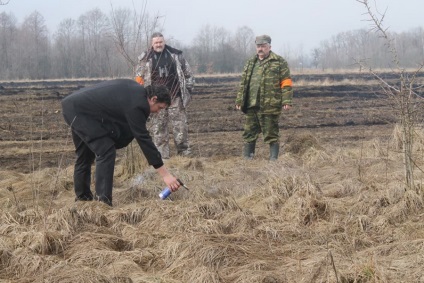 Ecologii au arătat cum să lumineze corect mlaștina