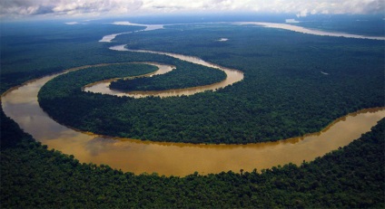 Pădurile Ecuatorial din America de Sud fapte și fotografii interesante, vivareit