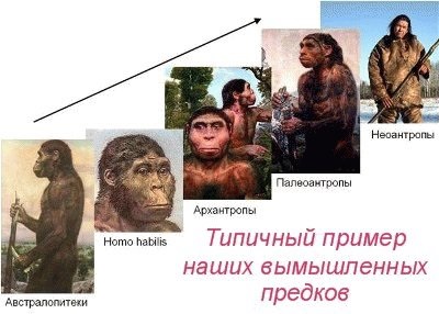 Biologia provoacă teoria evoluției lui Darwin