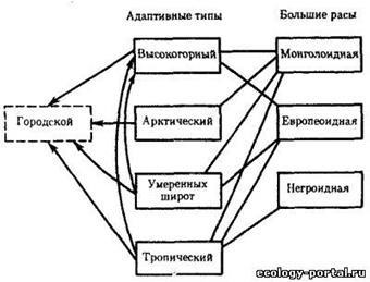 Antropologia etnică, conținutul și sarcinile sale - biologie