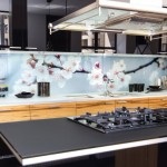 Șorț pentru bucătărie din materiale de sticlă, călită sau plexiglas, design