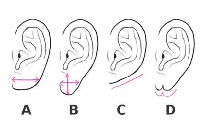 Forma urechilor arată cum vă manifestați în dragoste - esoterică și cunoaștere de sine