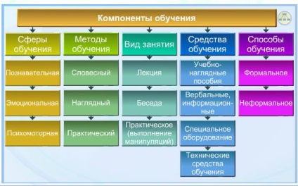 Funcțiile asistentei ca profesor