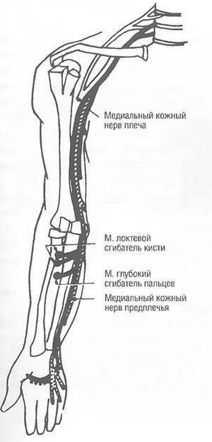 Teste musculare funcționale ale nervilor membrelor superioare