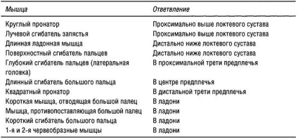 Teste musculare funcționale ale nervilor membrelor superioare