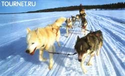 Unde să călăriți o sanie de câini în Finlanda