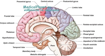 Coma pituitară