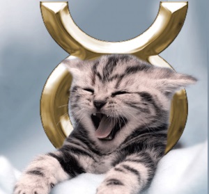 Horoscop al vițelului de pisică