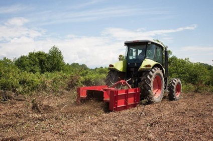 Georgia se așteaptă să crească producția de ceai