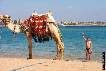 Iberotel Makadi Oasis - hotel de familie