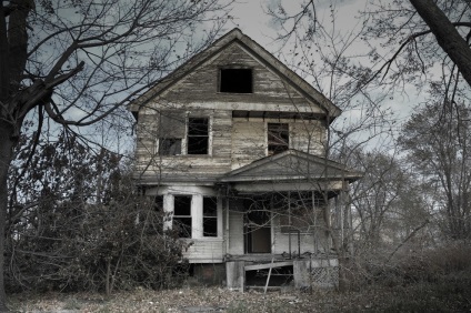 A kísértetjárta házak története, a kutya shredinger