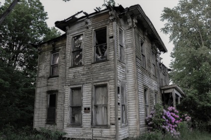 A kísértetjárta házak története, a kutya shredinger
