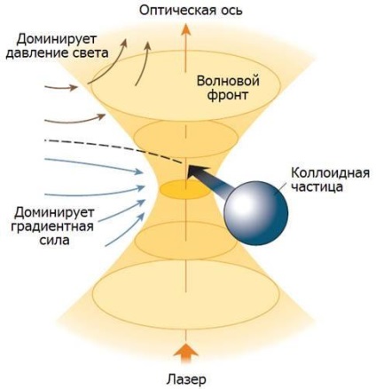 A vonzás mérése nanométeren belül, a népszerű mechanika folyóirata