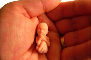 A fagyasztott embriók egészséges babákat termelnek