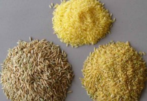Hogyan működik a rizs étrend fogyás, tisztítás