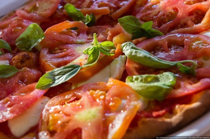 Hogyan készítsünk pizzát, frissen - a Runet legjobbja a nap!