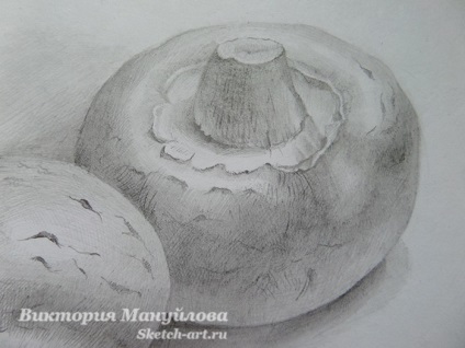 Cum de a desena ciuperci - schiță arta