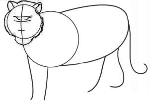 Cum să desenezi un tigru cu un creion - dezvoltarea unui logo și a unei identități corporatiste, crearea de site-uri la cheie