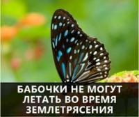 Как да не се удрят главите на хората и премахване на шията нагъл, телефонна линия, горещата линия