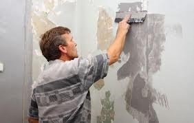Cum să pictezi pereții în baie cu mâinile tale - alege vopseaua potrivită, fotografiile camerelor terminate