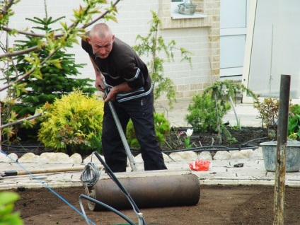 Cum să semene în mod corespunzător gazon gazon în zona suburbane, dachasadovoda