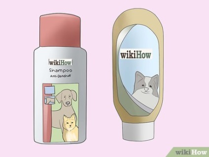 Cum să preveniți scabia la câini