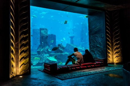 Hogyan készítsünk képet a víz alatti világról, és ne nedvesítsük meg