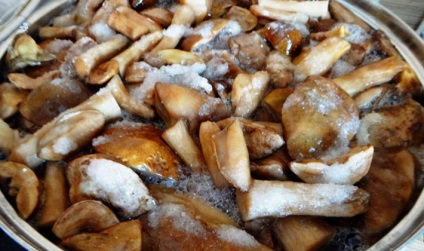 Cum să săruri ciuperci fără gătit pentru rețete de iarnă gătit aceste conserve alimente în limba rusă, în Altaic