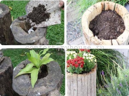 Cum de a decora un ciocan într-o grădină