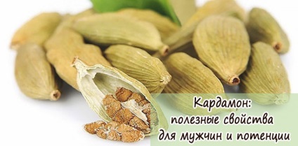 Cardamom proprietăți utile pentru bărbați și potență