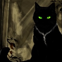 De ce sa visati o pisica neagra, aflati in cartea de vis de ce o pisica neagra poate visa