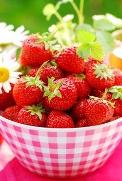 Strawberry Liubava Elizabeth 2, Брайтън фестивал - по-добри Ремонтантна разновидности на ягоди