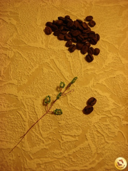 Arborele de cafea cu mâinile proprii, fotografie cum se face o clasă de master la domiciliu