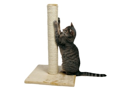 Pisoii pentru pisici - caracteristici de fabricație