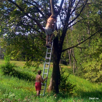 Cat de știință, fotografii frumoase și fotografii