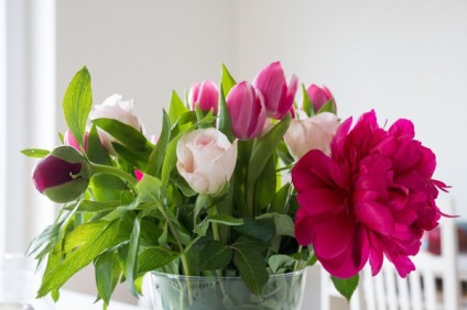 Layfhak cum să plasați frumos flori într-un vază - design interior - interior acasă, feng shui, la domiciliu