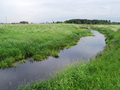 Pike de pescuit în canale polder