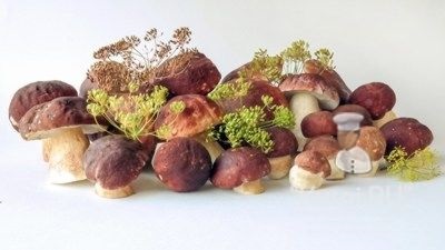 Pácolt gombák - recept gombás gombák marinálásához