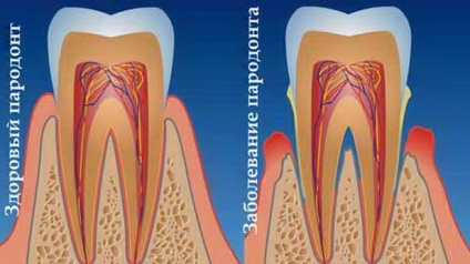 M-clinica dentară - dentară, stomatologie pediatrică, tomografie computerizată, kt lor