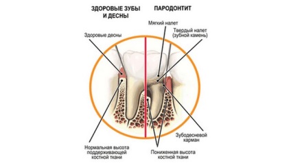 M-clinica dentară - dentară, stomatologie pediatrică, tomografie computerizată, kt lor