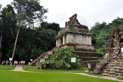 Mexikó palenque - az ősi maja város, elveszett az állam dzsungelében