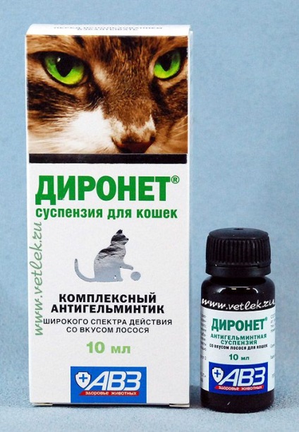 Multe intrebari despre helminths intr-o pisica - un forum veterinar, viermi in pisici de pirantel